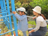 img0017.jpg