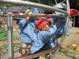 img0031.jpg