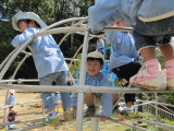 img0033.jpg
