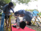 img0042.jpg