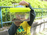 img0047.jpg