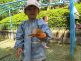 img0048.jpg
