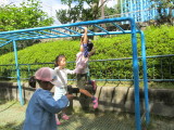img0050.jpg
