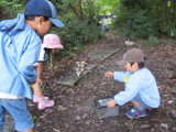 img0053.jpg