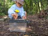 img0054.jpg