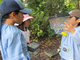 img0055.jpg