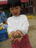 img0058.jpg