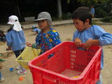 img0062.jpg