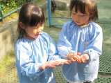 img0065.jpg