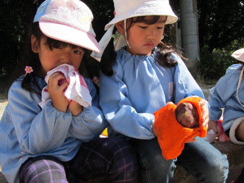 img0004.jpg