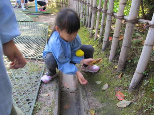 img0011.jpg