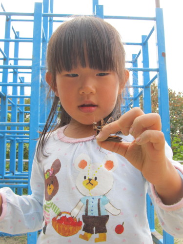 img0044.jpg