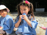 img0003.jpg