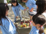 img0010.jpg