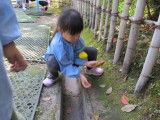img0011.jpg