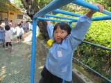 img0016.jpg