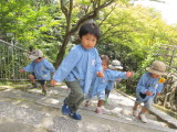 img0029.jpg