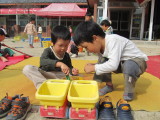 img0042.jpg