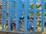 img0000.jpg