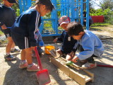 img0008.jpg