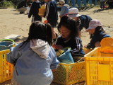 img0024.jpg