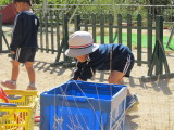 img0025.jpg