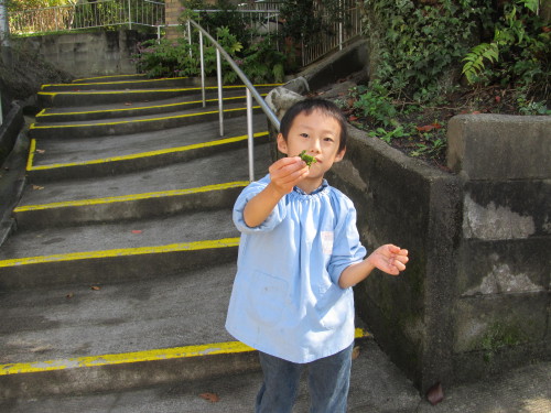 img0038.jpg