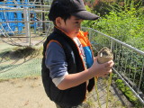 img0020.jpg