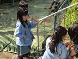 img0033.jpg