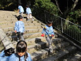 img0035.jpg
