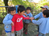 img0037.jpg