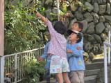 img0040.jpg