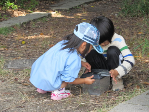 img0015.jpg