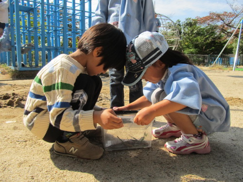 img0017.jpg
