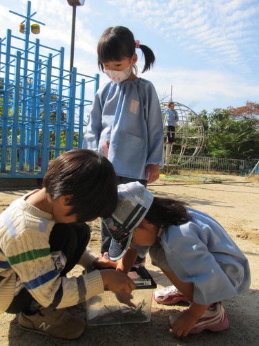 img0018.jpg