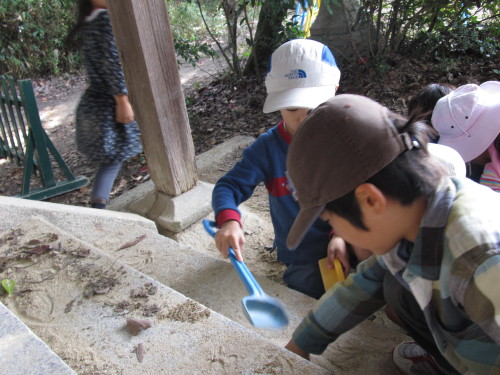 img0063.jpg