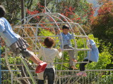 img0000.jpg