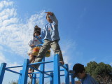 img0009.jpg