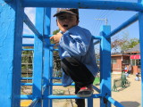 img0010.jpg