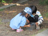 img0015.jpg