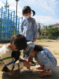 img0018.jpg