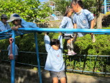 img0032.jpg