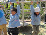 img0037.jpg