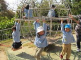 img0038.jpg