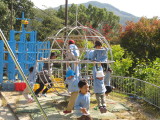 img0041.jpg