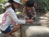 img0052.jpg