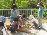 img0057.jpg