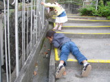 img0067.jpg