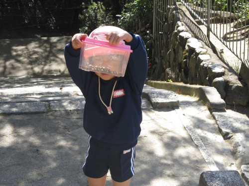 img0026.jpg