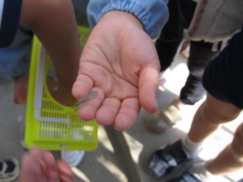 img0034.jpg